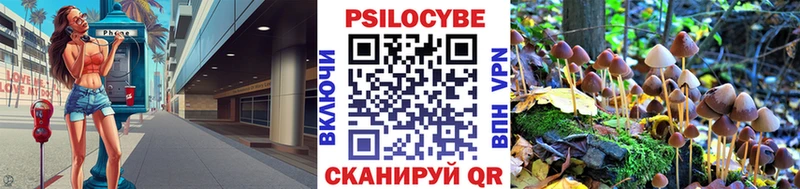 даркнет сайт darknet официальный сайт МЕГА зеркало Псилоцибиновые грибы Magic Shrooms Бийск